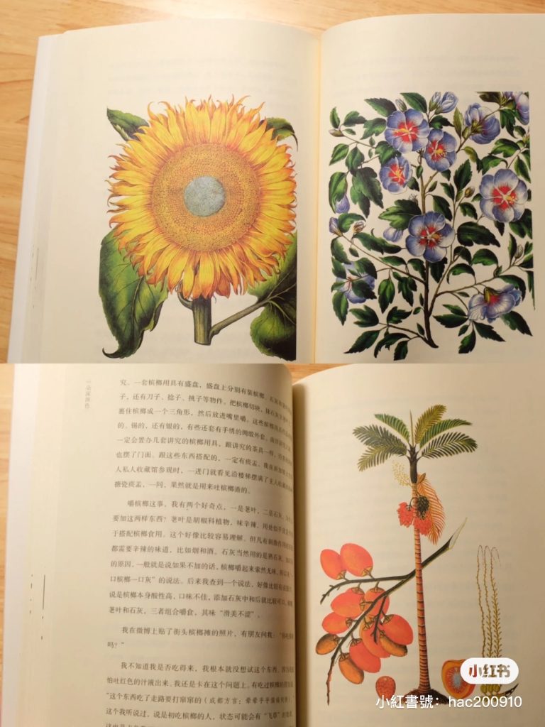 【好書推薦】〔秋之書〕一朵深淵色