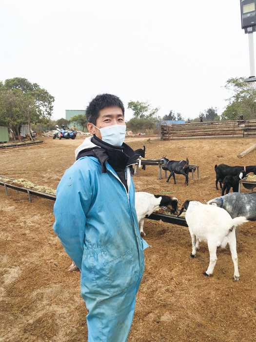 返鄉青年-陳弘銘與新金青年-洪銘志聯手共同創業 風車畜牧場 開展金門新畜牧業之章